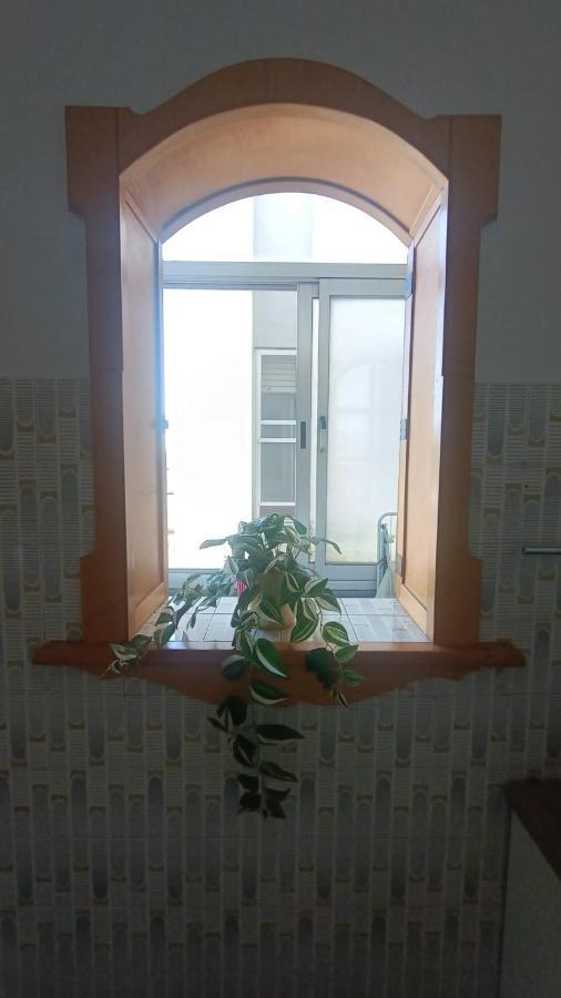 B&B L'Orchidea Pisa Eksteriør billede