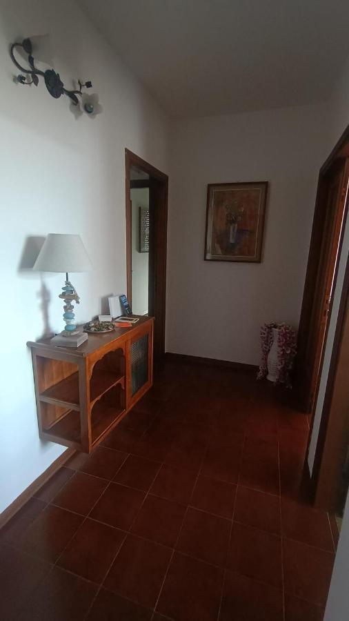 B&B L'Orchidea Pisa Eksteriør billede